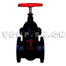 Z45T/W-10/16楔式暗桿閘閥