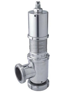 衛(wèi)生級安全閥