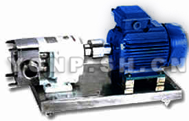 LB不銹鋼轉(zhuǎn)子泵產(chǎn)品圖