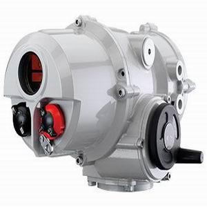 英國(guó)羅托克ROTORK電動(dòng)執(zhí)行器