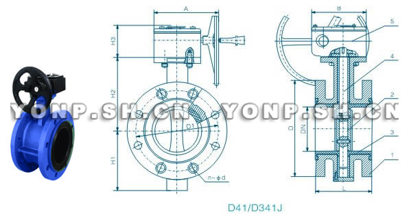 D41/D341J法蘭式全襯膠蝶閥外形尺寸圖