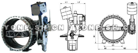 HD7B41X重錘式液控蝶閥外形尺寸圖