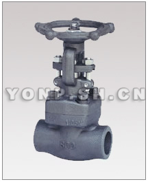 螺栓閥蓋美標鍛鋼閘閥