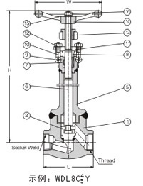 800磅焊接閥蓋鍛鋼低溫截止閥