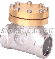 DH61F低溫止回閥