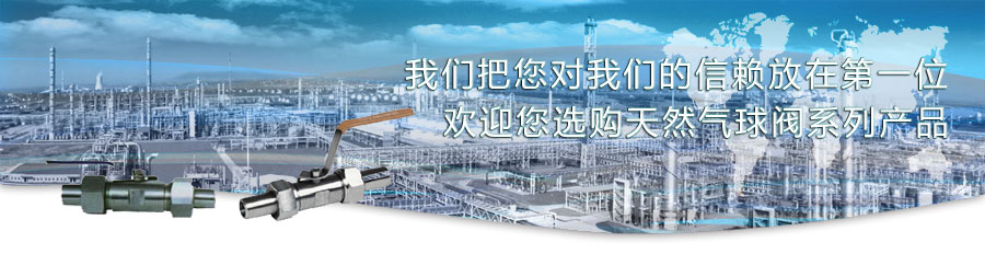 天然氣球閥