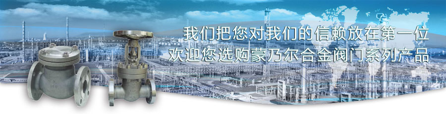 蒙乃爾合金閥門