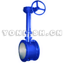 D343H硬密封加長(zhǎng)法蘭蝶閥