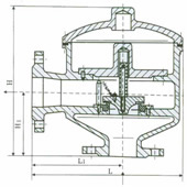 HX7Y型異徑帶接管呼出閥