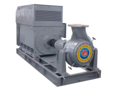 JINB型雙吸熔融尿素泵 縮略圖