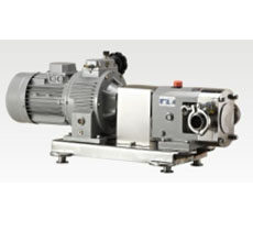 LB不銹鋼轉(zhuǎn)子泵 縮略圖