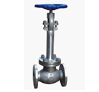 DJ41Y-25P低溫截止閥 縮略圖