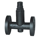 CS1/44H/F液體膨脹式蒸汽疏水閥 縮略圖