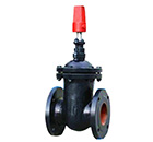 SZ45T/W暗桿埋地式閘閥 縮略圖