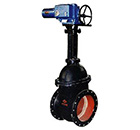 Z944T/W電動(dòng)平行式雙閘板閘閥 縮略圖