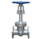 DZ41Y低溫法蘭閘閥 縮略圖