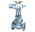 鑄鋼電動(dòng)閘閥 縮略圖