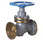 U41SM(F)柱塞閥 縮略圖