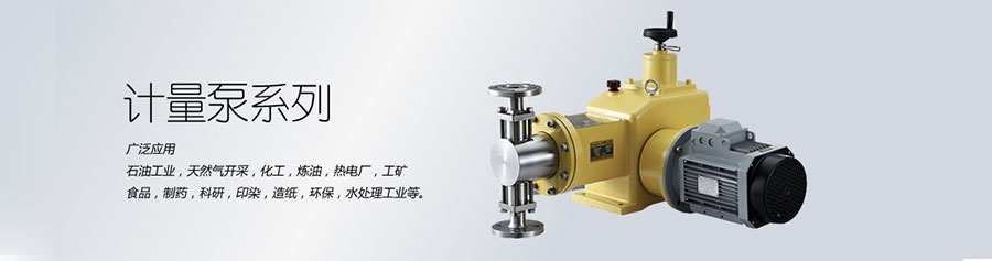 計(jì)量泵