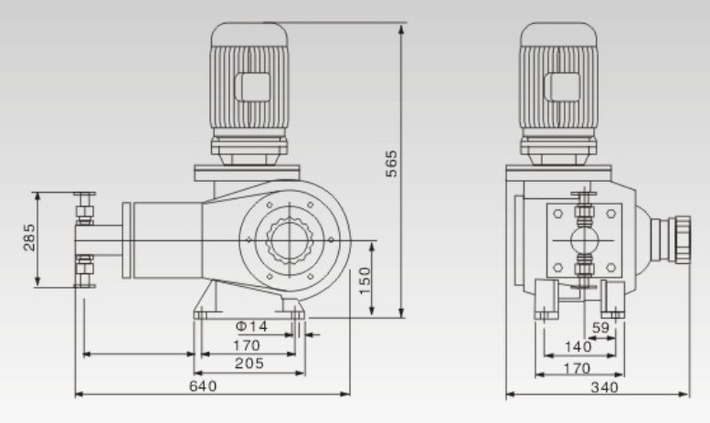YPZ-ZR柱塞式計(jì)量泵結(jié)構(gòu)圖