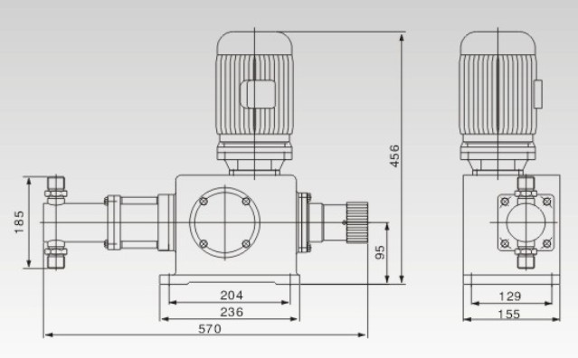 YPZ-Z柱塞式計(jì)量泵結(jié)構(gòu)圖