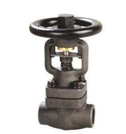 WJ/Z41H/Y鍛鋼波紋管閥門產(chǎn)品圖