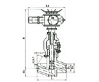 J961Y/961YPP54 電站用鍛鋼電動(dòng)對(duì)焊截止閥結(jié)構(gòu)圖