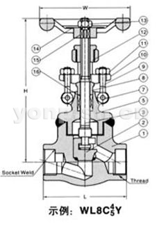 美標鍛鋼直通式截止閥