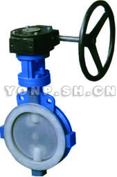 D71/371F46/F3-10/10C/10P ANSI:125Lb /150Lb