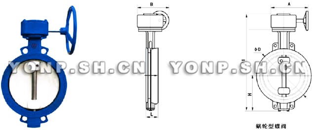 D372X蝸輪軟密封蝶閥外形尺寸圖