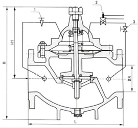 800X 壓差平衡閥結(jié)構(gòu)圖
