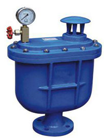 CARX復(fù)合式排氣閥