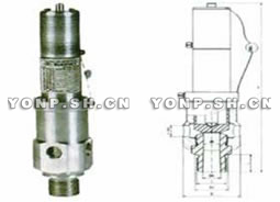 AQ-20空壓機(jī)安全閥
