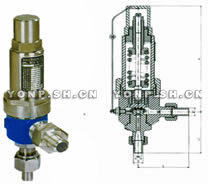 A61H/Y-160/320P彈簧微啟式安全閥