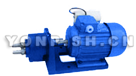 WCB-S微型齒輪式輸油泵圖