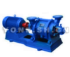 SZ-1水環(huán)式真空泵