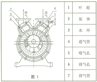 SZ系列水環(huán)式真空泵結(jié)構(gòu)圖1