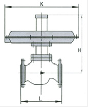 差壓自力式調(diào)節(jié)閥結(jié)構(gòu)圖1