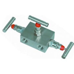 EN5-4 SS-M2F8內(nèi)螺紋三閥組